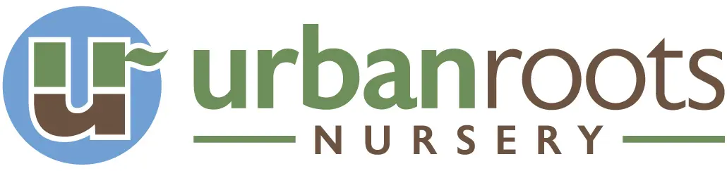 Urban Roots Nursery